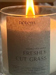 Свеча Freshly cut grass  купить онлайн на сайте TRAWA