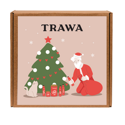 Коробка крафт квадратная Новый год (Всем подарки он принес) купить онлайн на сайте TRAWA