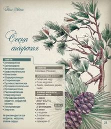 Гидролат Кедр купить онлайн на сайте TRAWA
